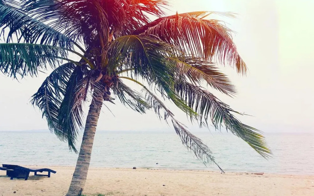 Domingo Hostel Phangan