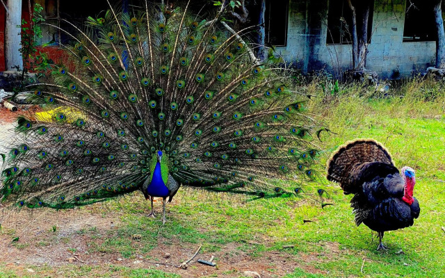 Reencuentro Rancho & Eco-Hotel