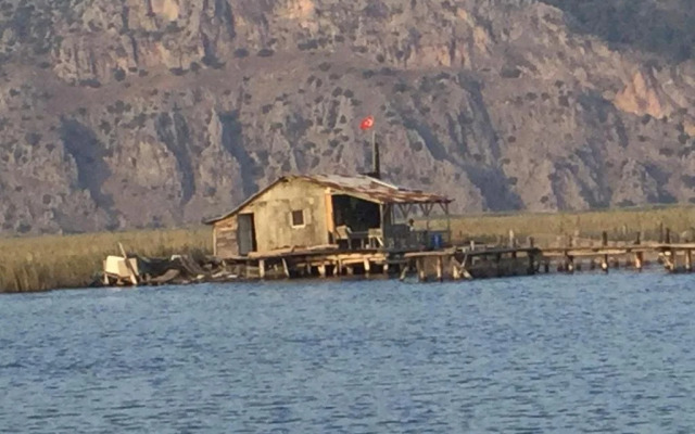 Rose Pension