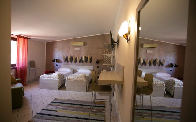 B&B Trepo