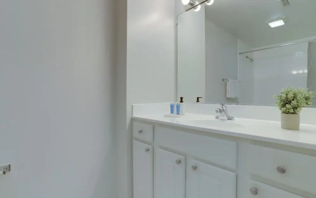 Amazing Apt in Ballston With Gym