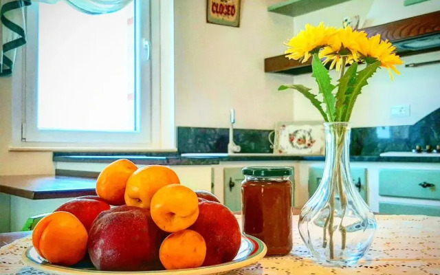 Bio Agriturismo Mare in Campagna