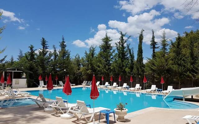 Silver Pine Hotel