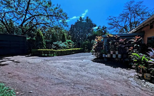 jacaranda homestay