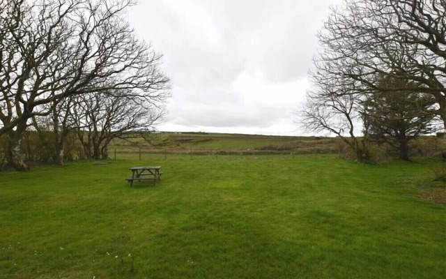 Tremynydd Fawr