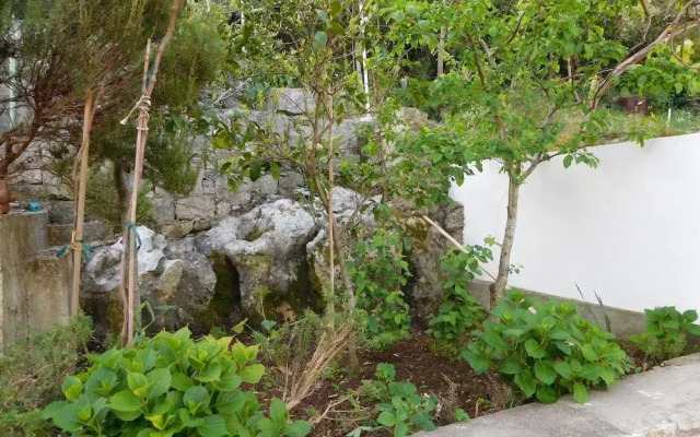 Apartments Ivancevic