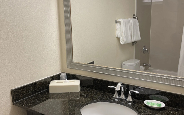 Holiday Inn Tyler-Conference Center by IHG