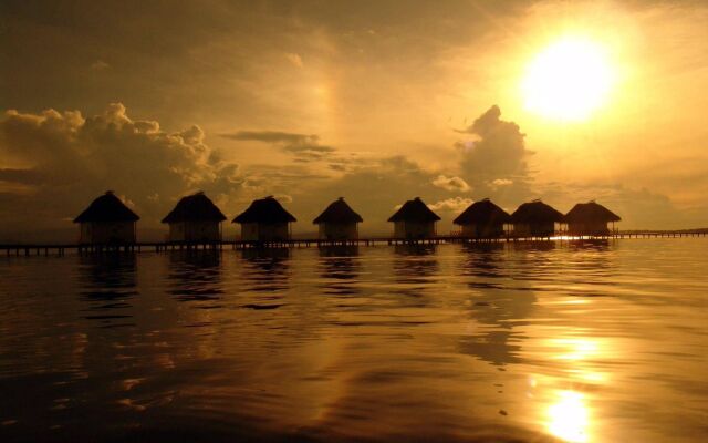 Punta Caracol Acqua Lodge