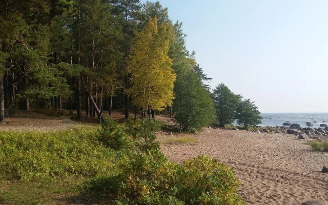 Smolyachkovo Guest house