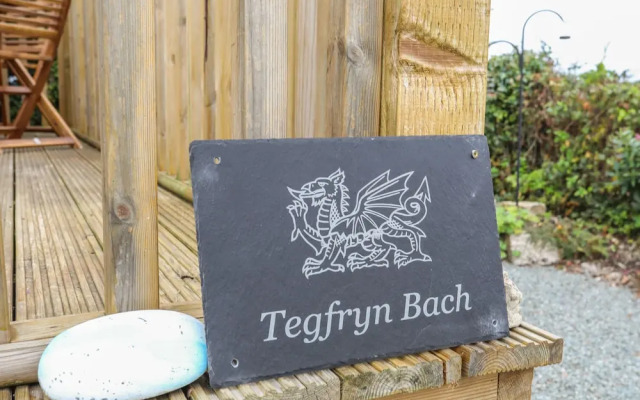 Tegfryn Bach