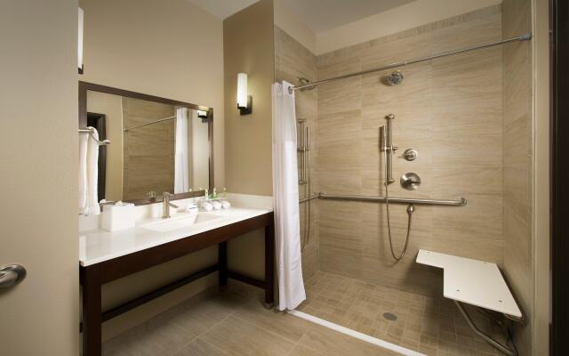 Holiday Inn Express & Suites Waco South, an IHG Hotel