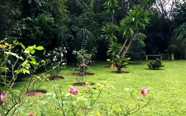 Palmwood Lodge