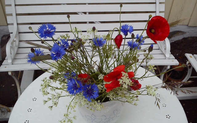 Kullabygdens Bed & Breakfast