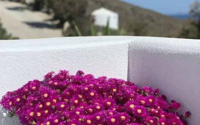 Sunrise Private Villas