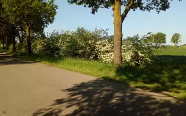 Bed And Breakfast Langs De Maas