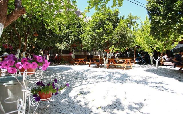 Olympos Ruya Pansiyon