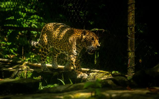 Hotel Villa Mercedes Palenque