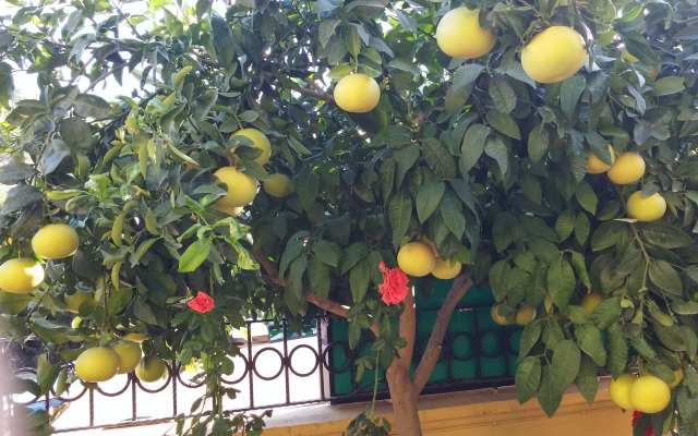 Sirman Suite Boutique Hotel