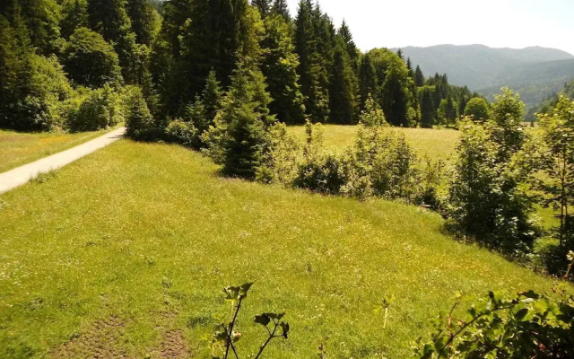 Seewiesenalm