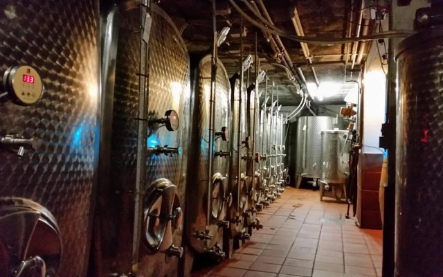 Weingut Knodt-Trossen