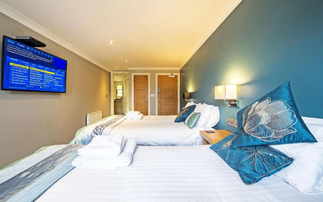 Dolphin Rooms