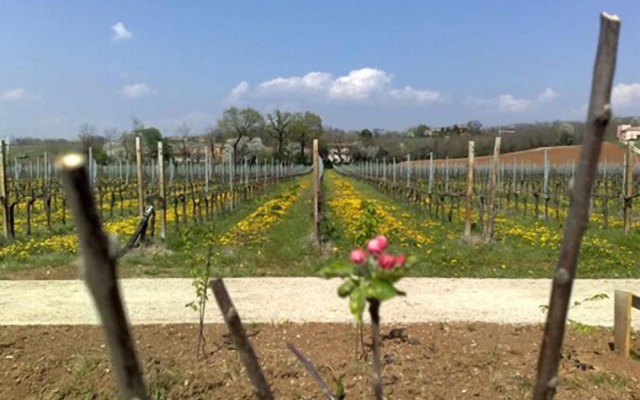 Agriturismo Caspineda