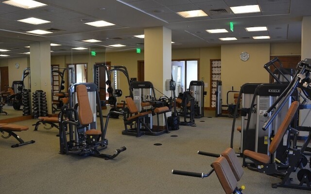 Penthouse Residence - Three Bedroom Penthouse