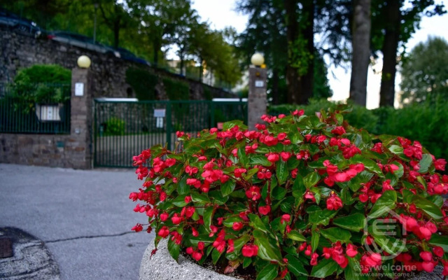 Easy Welcome Kosmopolitan