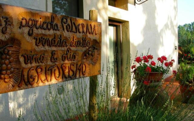 Azienda Agricola Polveraia