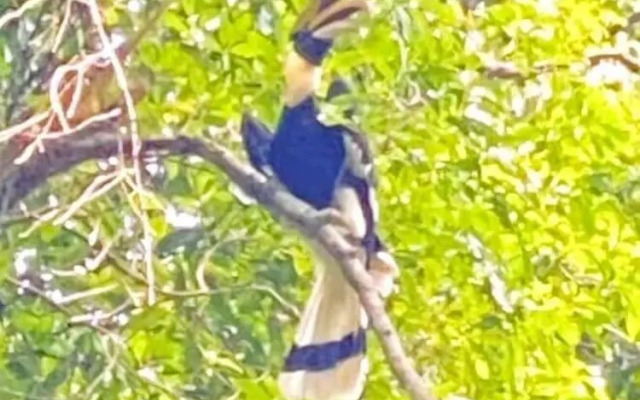 Private Paradise Resort