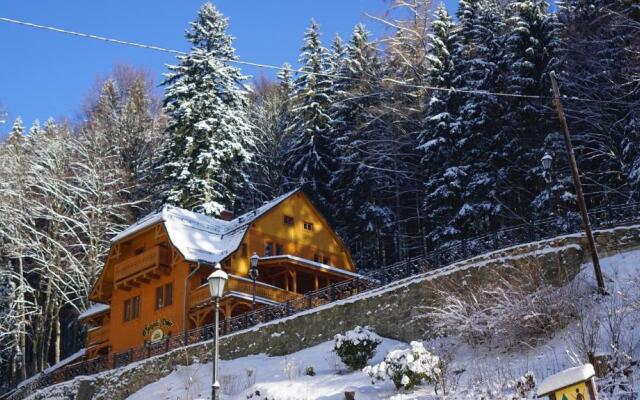 Pensjonat Alpejski Dwór