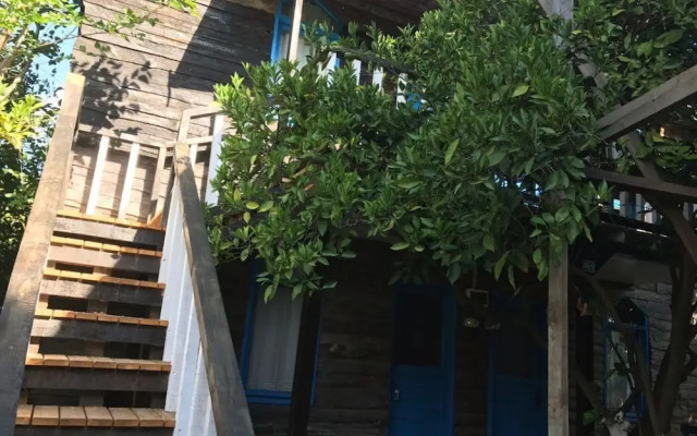Tahtavilla