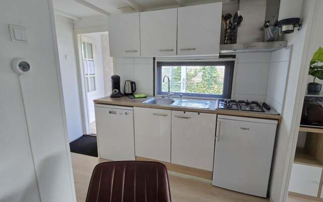 Home in the Dancing Forest