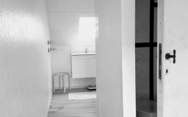 Studio Flandrien