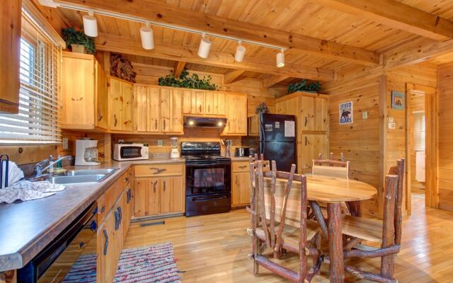 Bear Pause by Vtrips