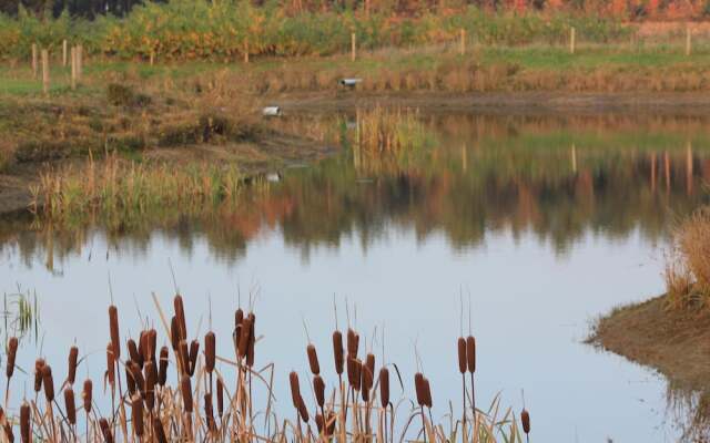 Semi-detached House With a Dishwasher, at 9 km van Slagharen