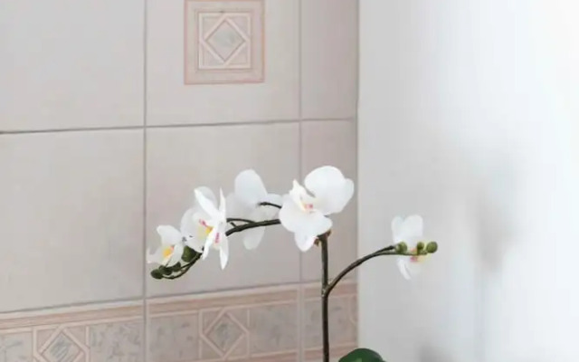 Warner House Apartments