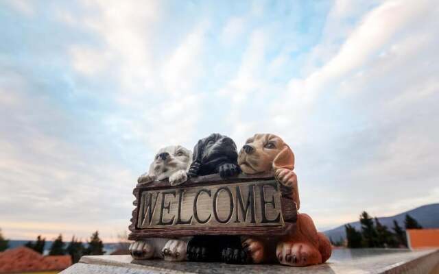 Studio Apartment With Balcony Near Beach Apartmani Orhideja