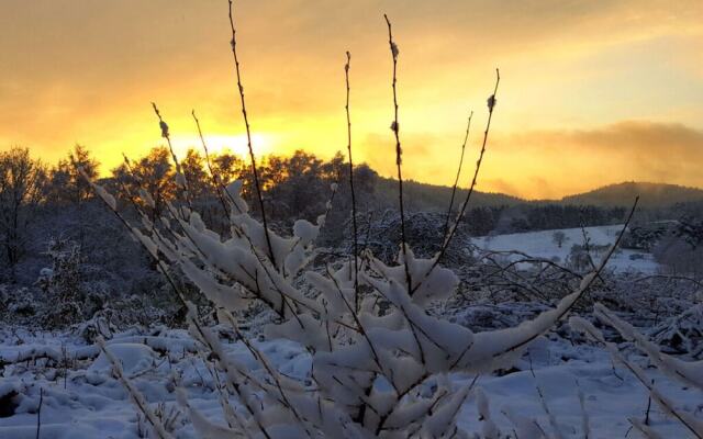 Ferieheisel - Everything, Except Usually!