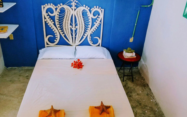 The Mermaid Hostel Downtown - Adults Only