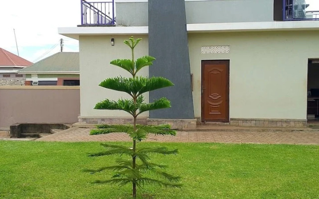 Migingo Suites