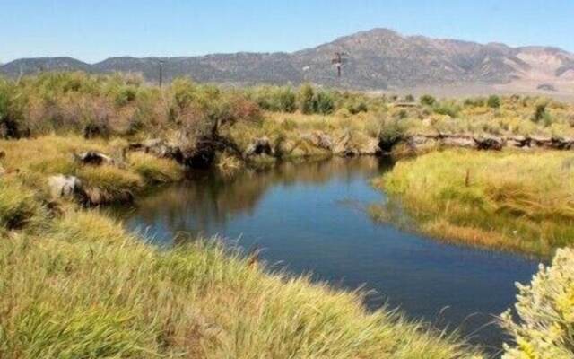 Walker River Lodge