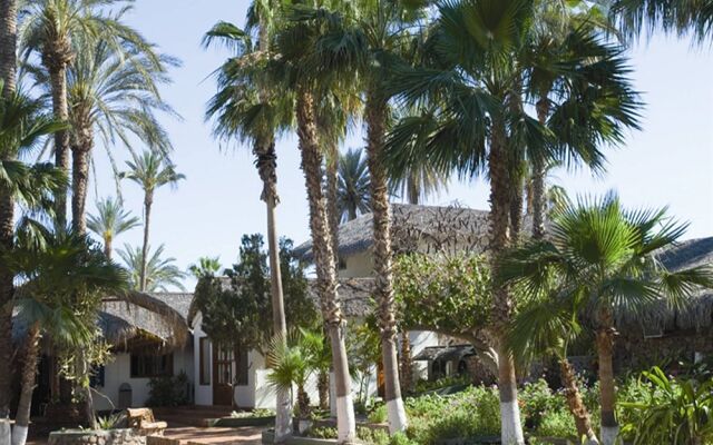 Hotel Oasis