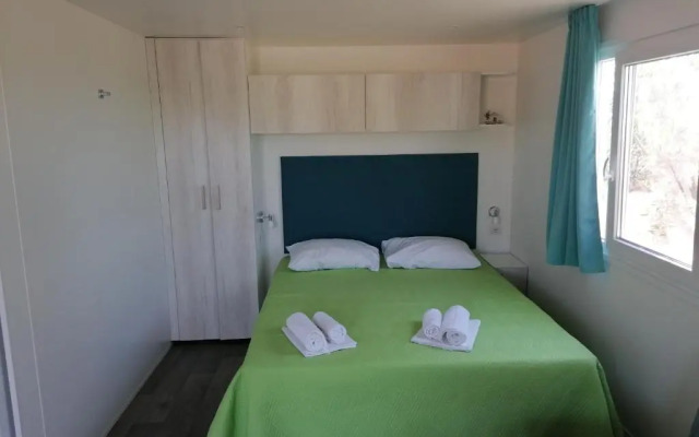 Camp Kopito