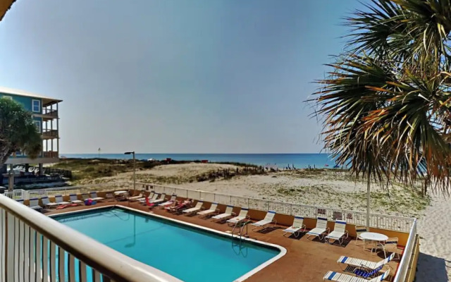 Driftwood Towers #1F - Palm View