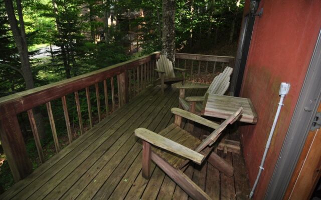 Bear`s Den - Northface