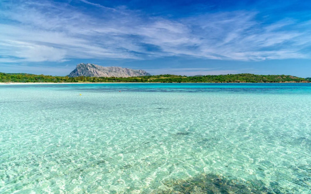 San Teodoro (Apt. 561646)