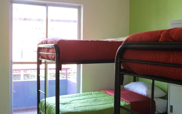 Wild Santiago Hostel
