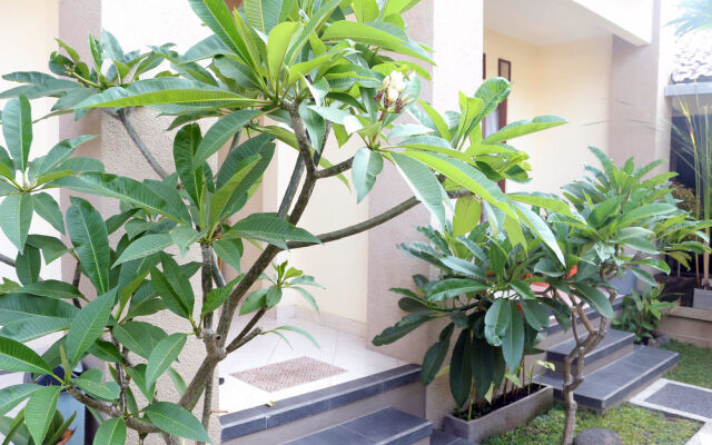 Citrus Tree Rooms - Shana