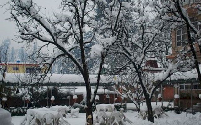 The Manali Inn